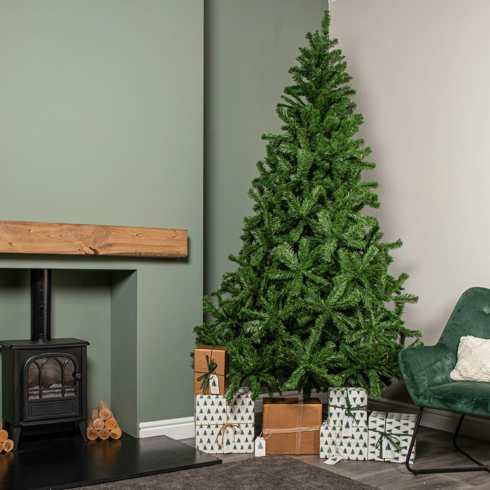 image 1 of 8ft Colorado Spruce Christmas Tree in Green with 1095 tips