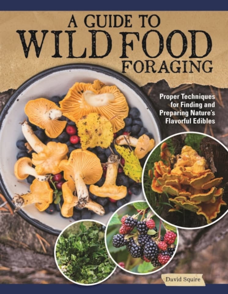 A Guide to Wild Food Foraging Paperback Book