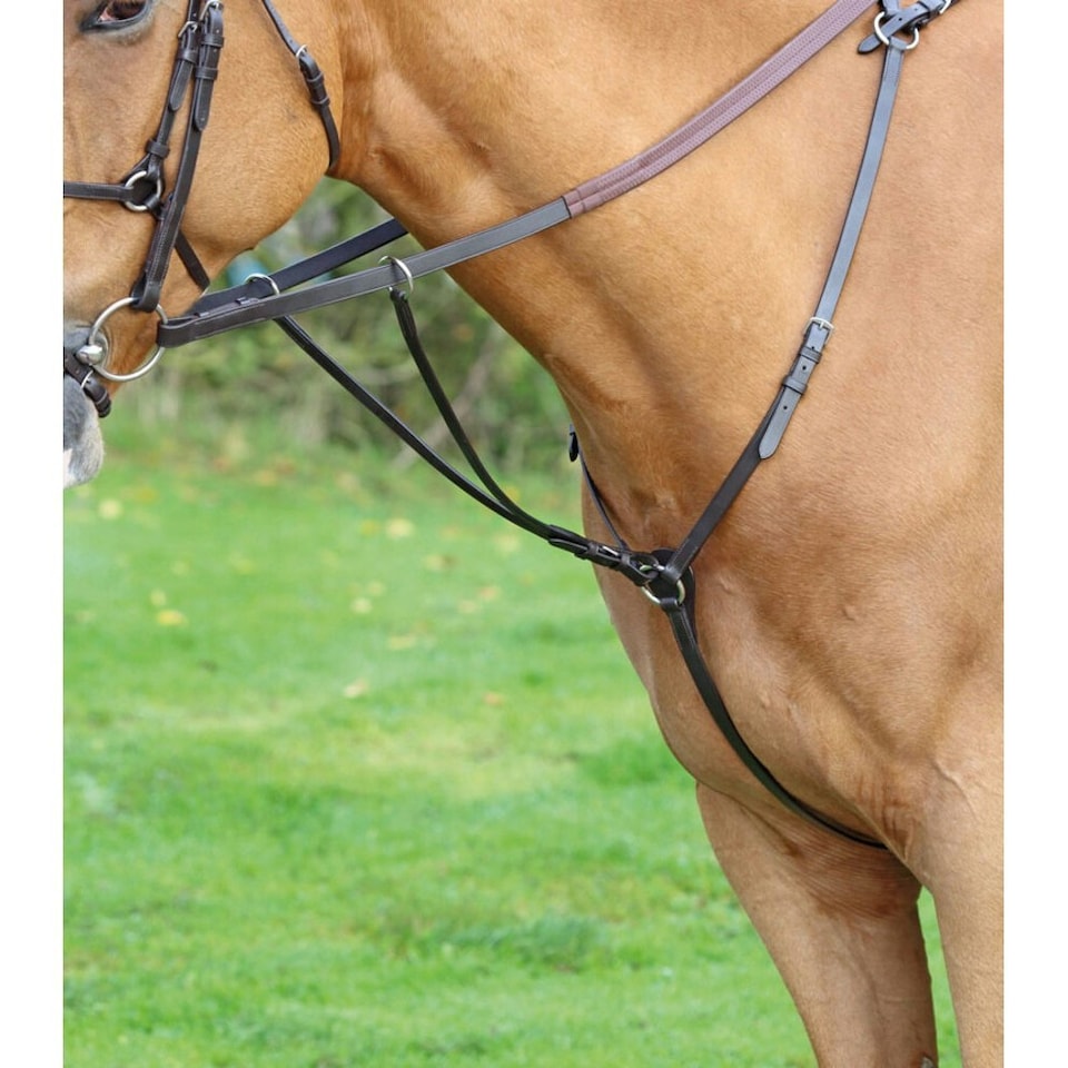 image 1 of Aviemore Hunt Weight Leather Horse Breastplate - Black - Full