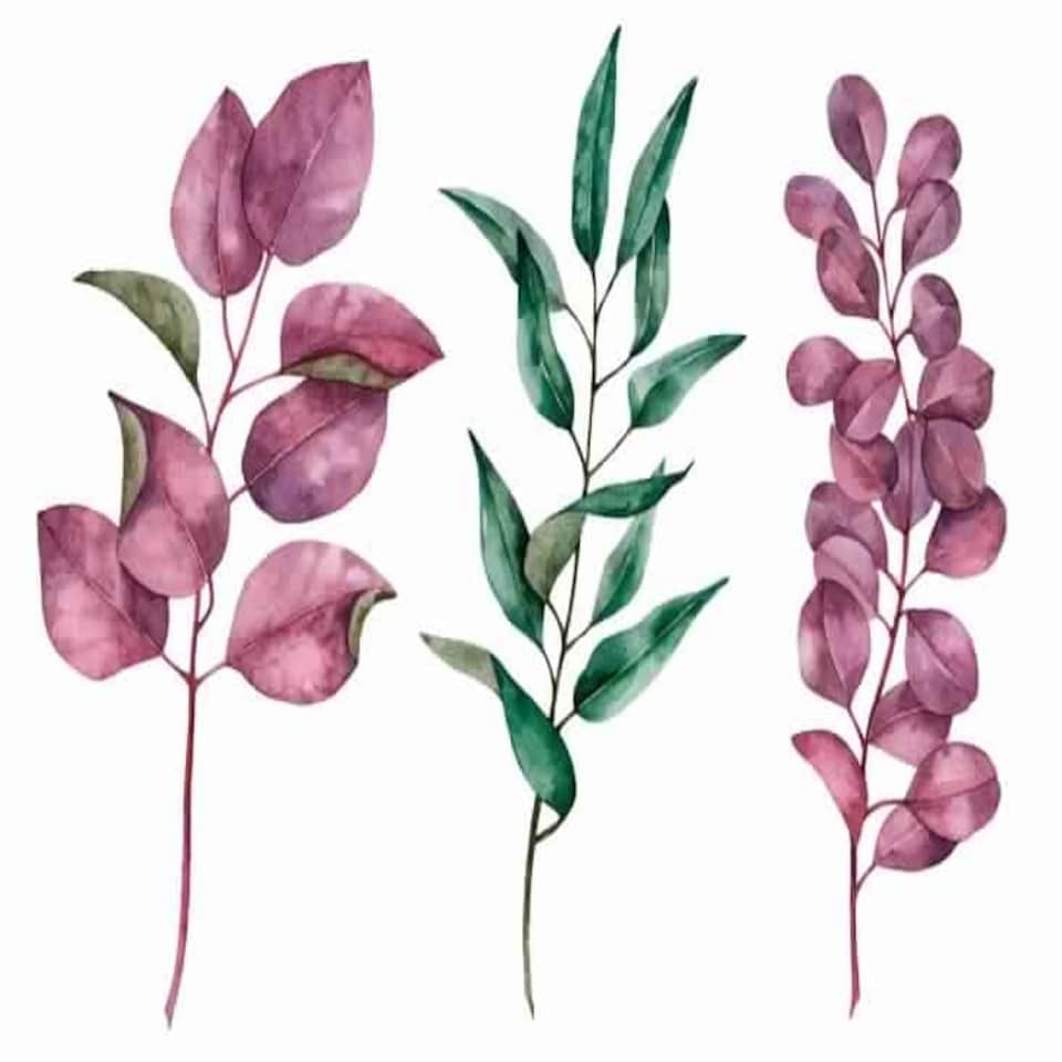 image 1 of Floral elements (Canvas Print) 86cm x 60cm