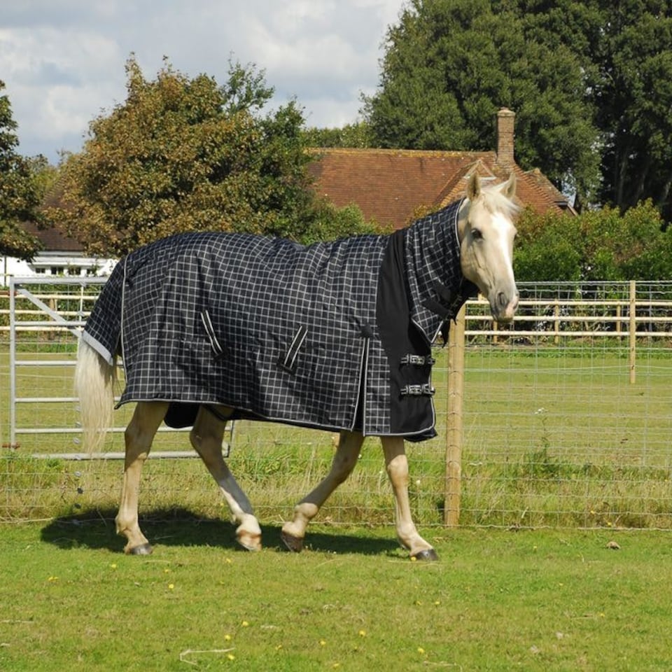 image 1 of Rhinegold Elite Full Neck Montpelier Rug Black | Colour: Black/White Check
Size: 5ft 9