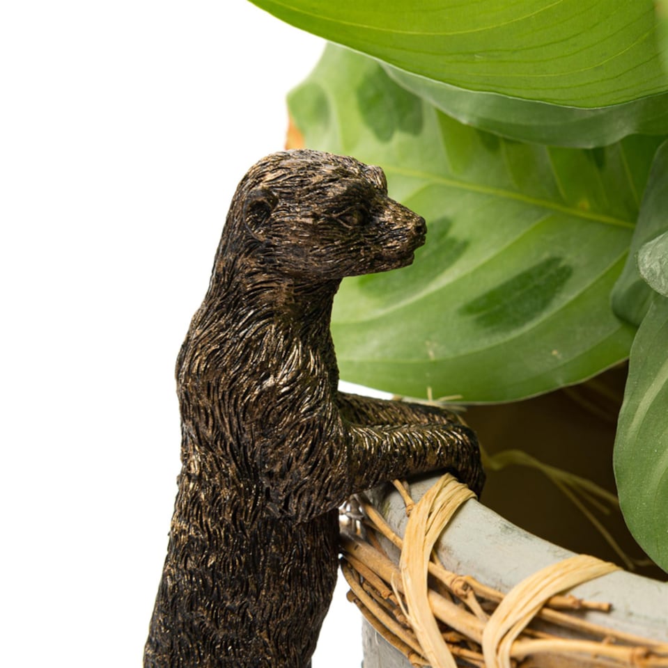 image 1 of Meerkat Plant Pot Hanger - L10.5 x W3.5 x H5 cm | Bronze