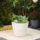 image 1 of Lily White Stone Effect Planter for Garden Outdoors Weatherproof Plastic (x1)