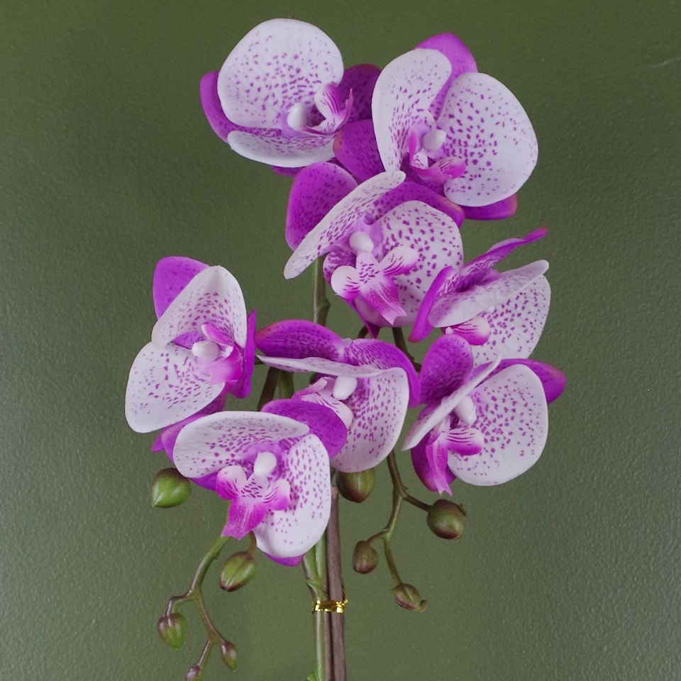 image 1 of Orchid Artificial Purple White 50cm Gold Pot Phalaenopsis Botanik