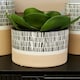 image 2 of Interiors by Premier Large Striped Planter, Ceramic planter For Indoor Plants, Home Décor with Indoor flower pot for Living Room Multi