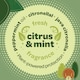 image 8 of Inoscent Ant Repellent Spray (5l) for Indoor & Outdoor Use, Natural Peppermint Oil Formula For Home & Garden, Family Friendly