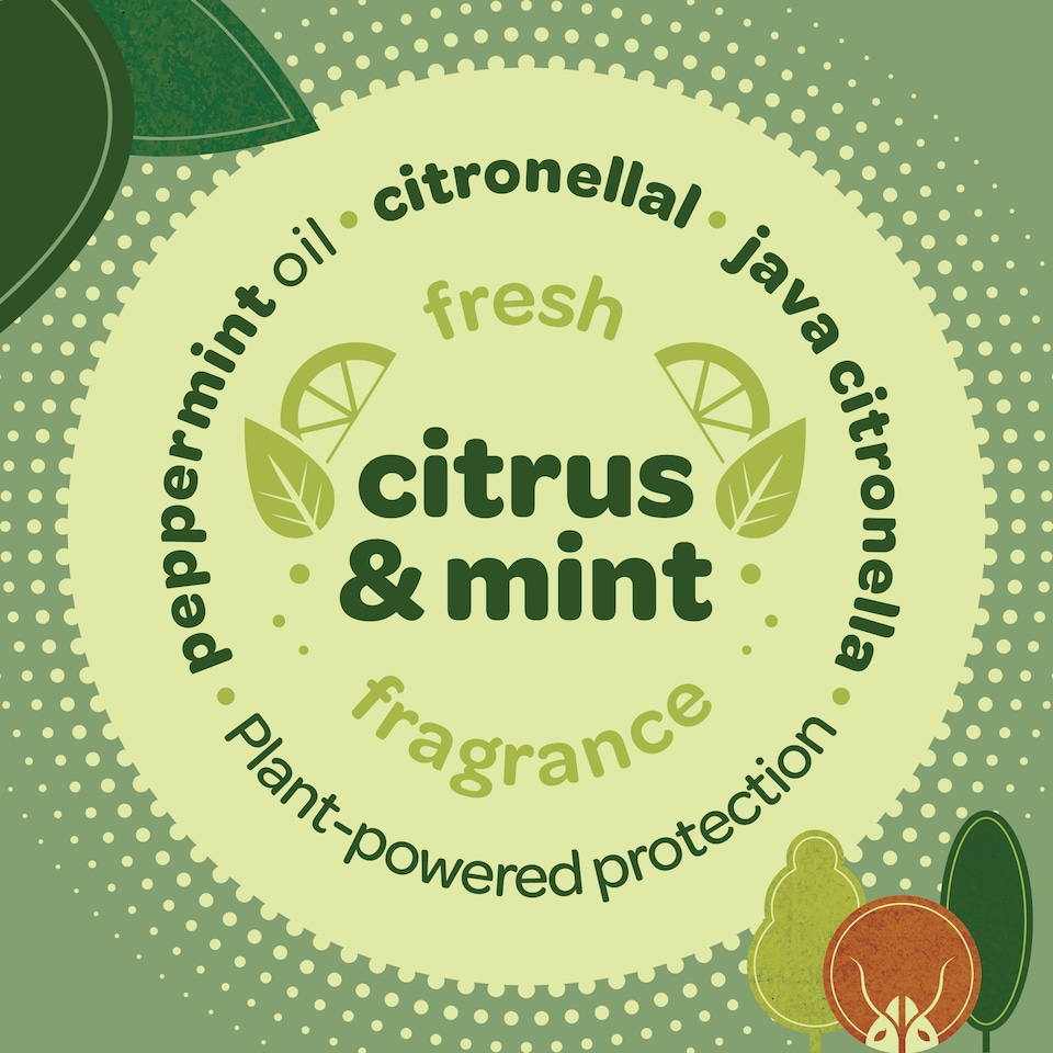image 1 of Inoscent Ant Repellent Spray (5l) for Indoor & Outdoor Use, Natural Peppermint Oil Formula For Home & Garden, Family Friendly