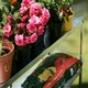 image 5 of Lacewing Twinpack Traditional 2 Tier Greenhouse Staging Shelving Bench in Silver 119cm