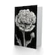 image 2 of Carnation Flower Bloom Lover Day Birthday Card