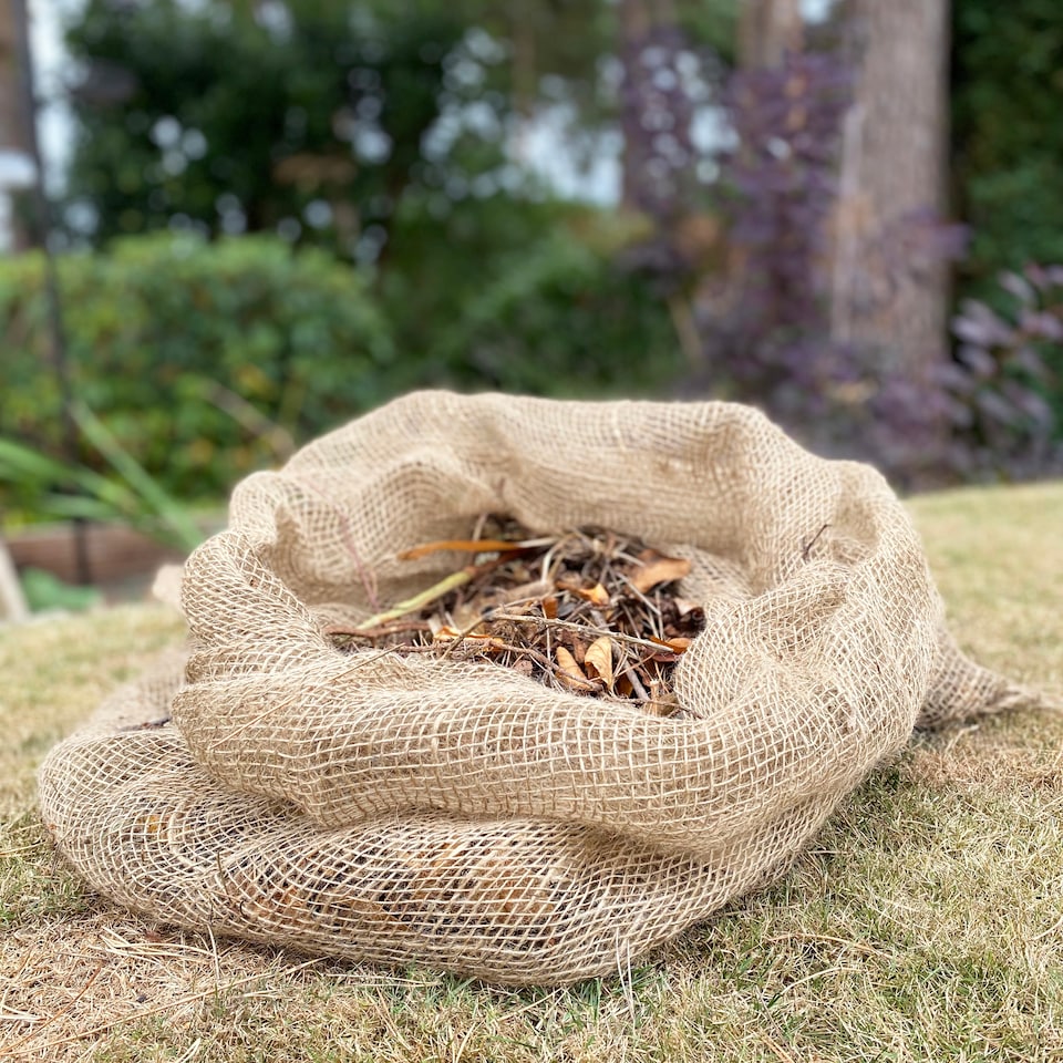 image 1 of Compostable Biodegradable Leaf Mould Sacks Bags - Pack of 20