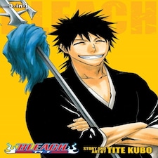 Bleach (3-in-1 Edition) Vol. 10