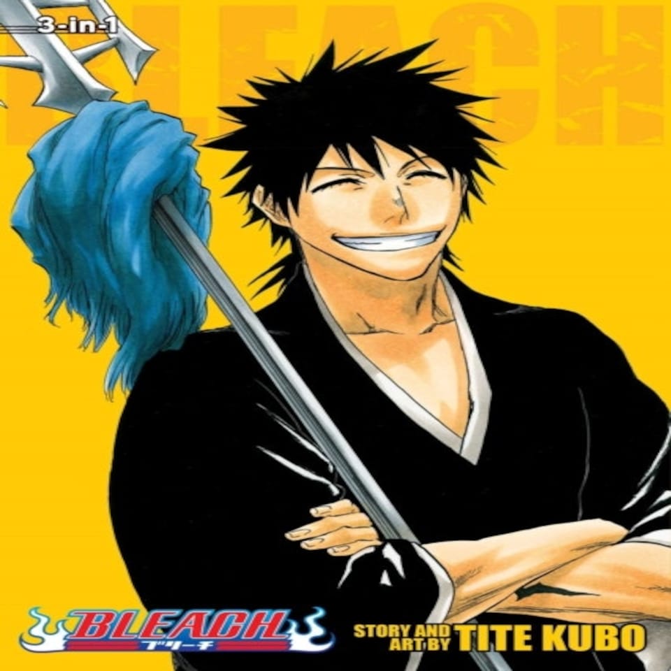 Bleach (3-in-1 Edition) Vol. 10