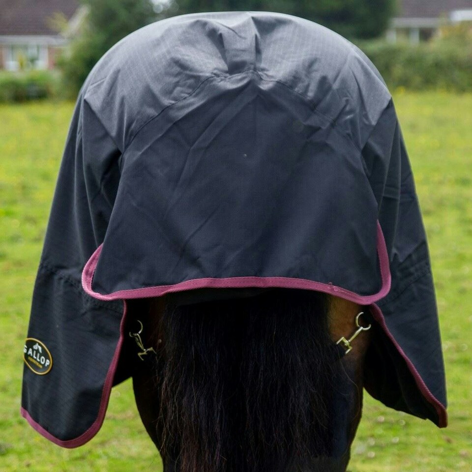 image 1 of Gallop Equestrian Trojan Dual 50G Turnout Set Black | Size: 7ft 0
Colour: Black
