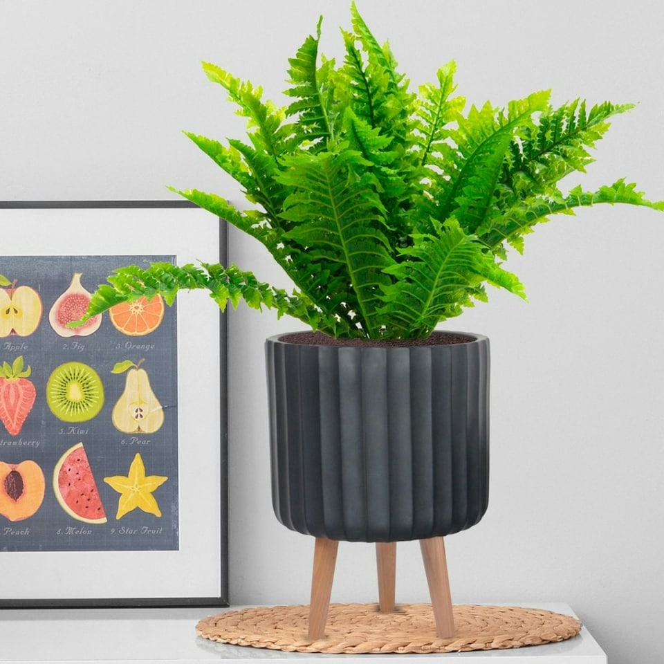 image 1 of Modern Ribbed Black Cylinder Planter on Legs, Round Pot Plant Stand Indoor D24 H32 cm, 7.6 ltrs Cap.