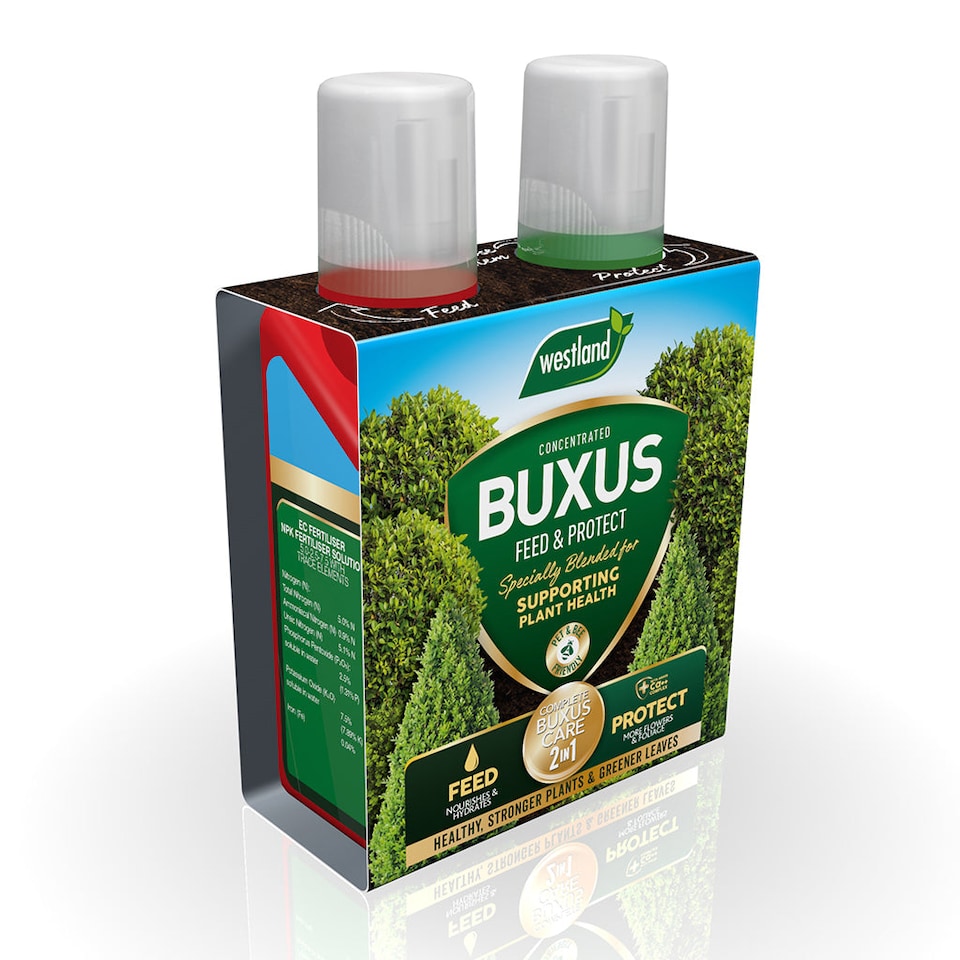 image 1 of Westland Buxus Feed & Protect 2 in 1 - 2 x 500ml | Clear | 1 x Duo Pack | 2
