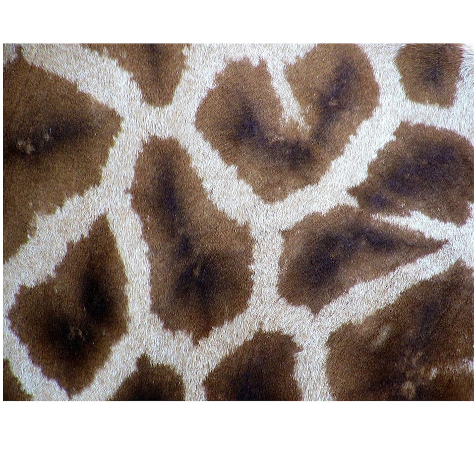 image 1 of Giraffe - Impuzzible No. 32 - 1000 Piece Jigsaw Puzzle