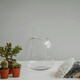 image 9 of Bowl Shape Terrarium DIY Kit Clear