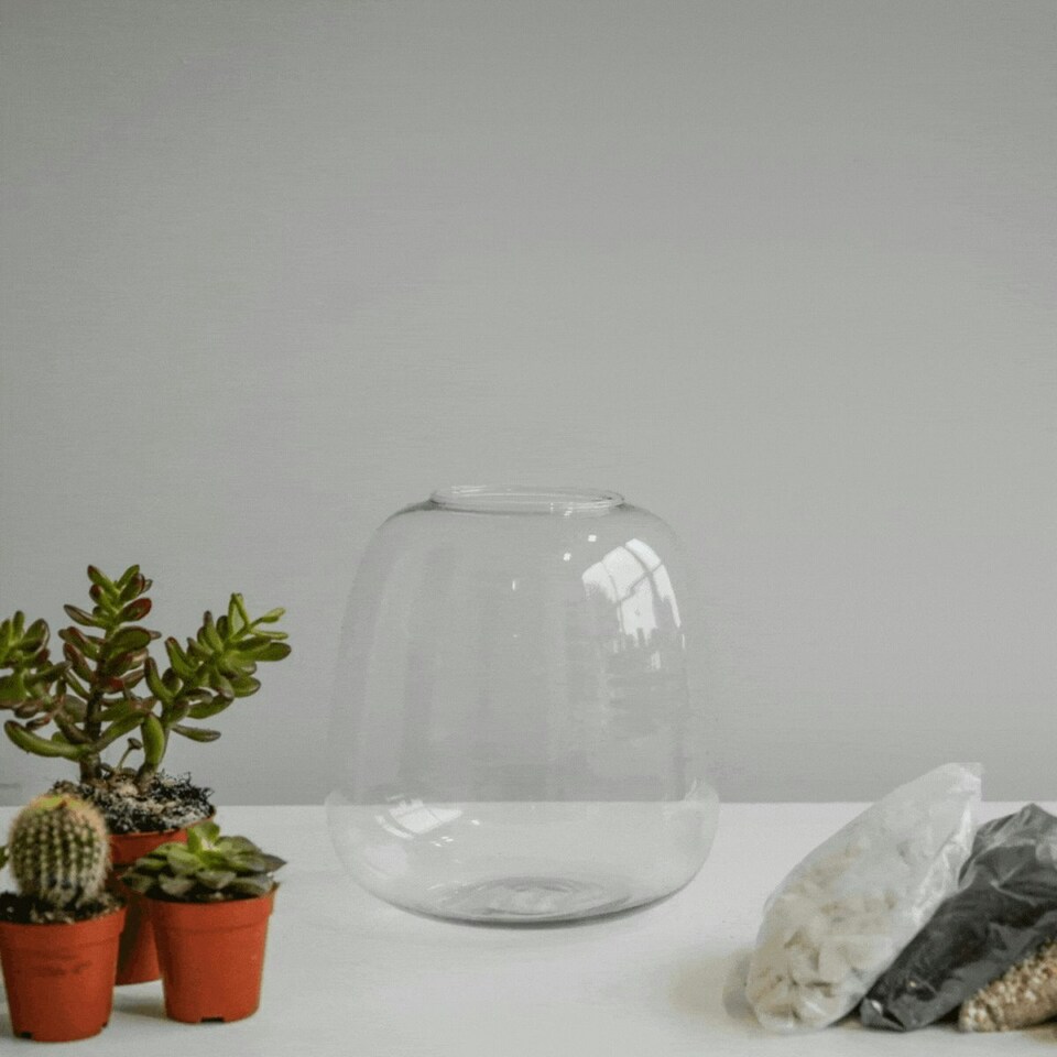 image 1 of Bowl Shape Terrarium DIY Kit Clear