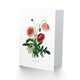 image 2 of Flower Poppy Coquelicot Double Art Blank Just to Say Card