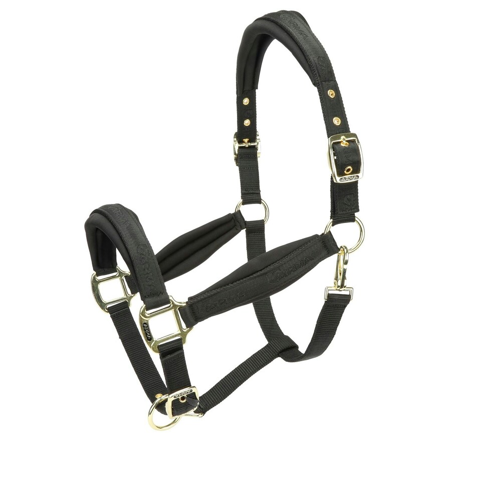 image 1 of ARMA Padded Headcollar Black | Colour: Black Cherry
Size: Cob