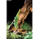 image 3 of Exo Terra Gecko Feeding Bowl