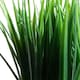 image 2 of Pack of 6 x 22cm Artificial Grass Plant