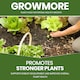 image 4 of Vitax Liquid Growmore 1L Concentrated All Purpose Plant Feed for Lawns Vegetables Flowers NPK Fertiliser Growth Boost