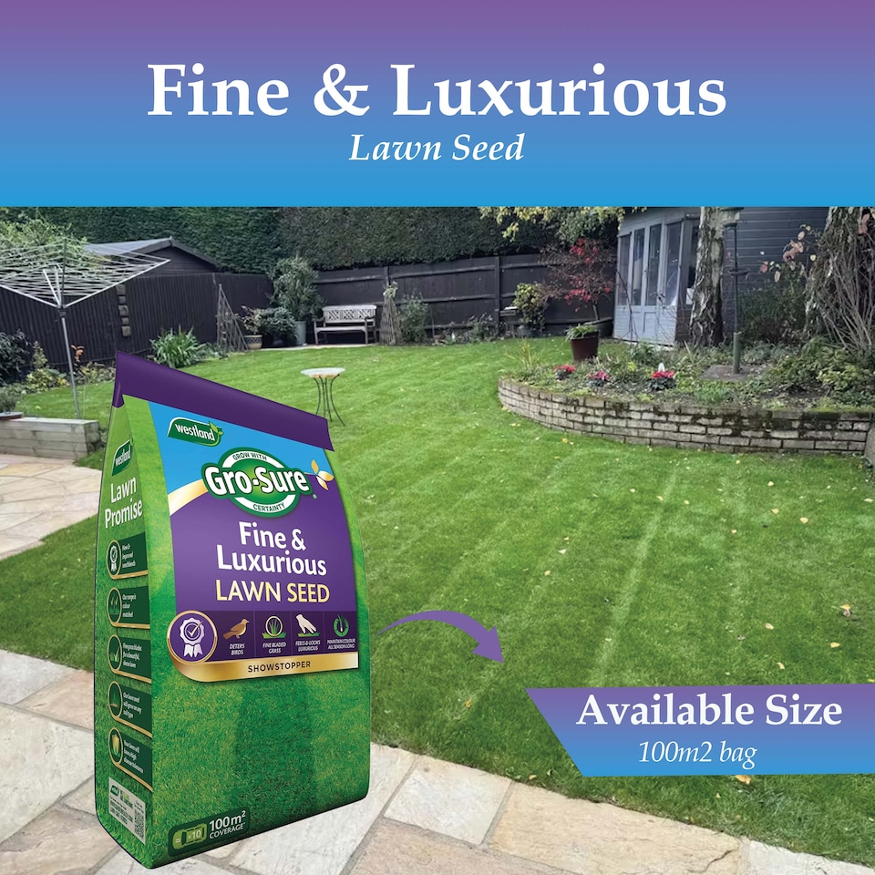 image 1 of Westland Gro-Sure Fine & Luxurious Lawn Seed 100 square Metre Bag Fine Bladed Grass Seed for Thick Soft Green Lawn New or Patch Repair