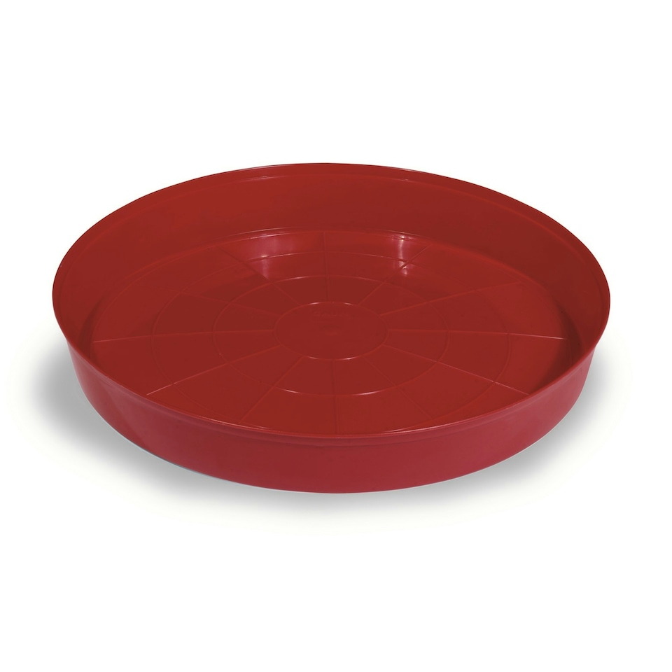 Gaun Chick Tray Feeder - Red - H5 x D40cm