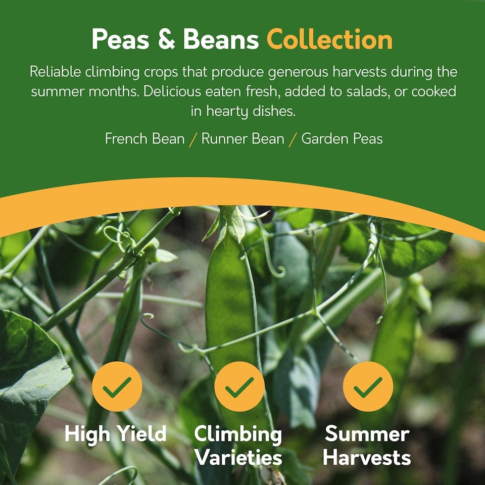 image 1 of Pronto Seed Vegetable Seeds Bumper Pack - 21 Popular Varieties, Over 1,700 Seeds for Growing Your Own Veg