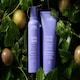 image 4 of Aveda Blonde Revival Purple Toning Conditioner 200ml