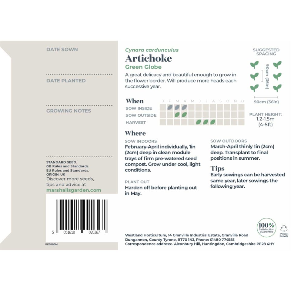 image 1 of Marshalls Garden Artichoke Seeds Green Globe, 35 Seeds