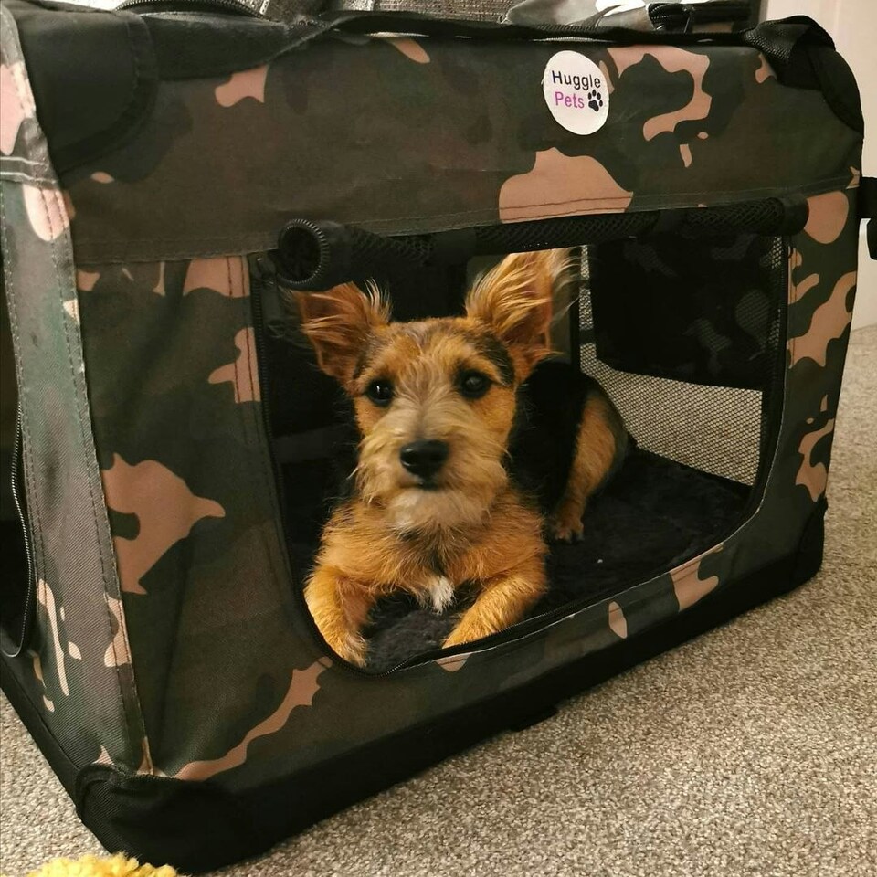 image 1 of HugglePets Fabric Crate Foldable Pet Carrier Red | S