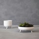 image 4 of Interiors by Premier Portable And Lightweight Design White Planter, Durable Construction Of Garden Pot, Outdoor Garden Pot White