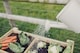 image 4 of Raised Veg Trug Garden Planter - Scandinavian Redwood - L52 x W100 x H60 cm - Minimal Assembly Required | Brown