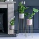 image 8 of Saluzzo Plant Stand Black