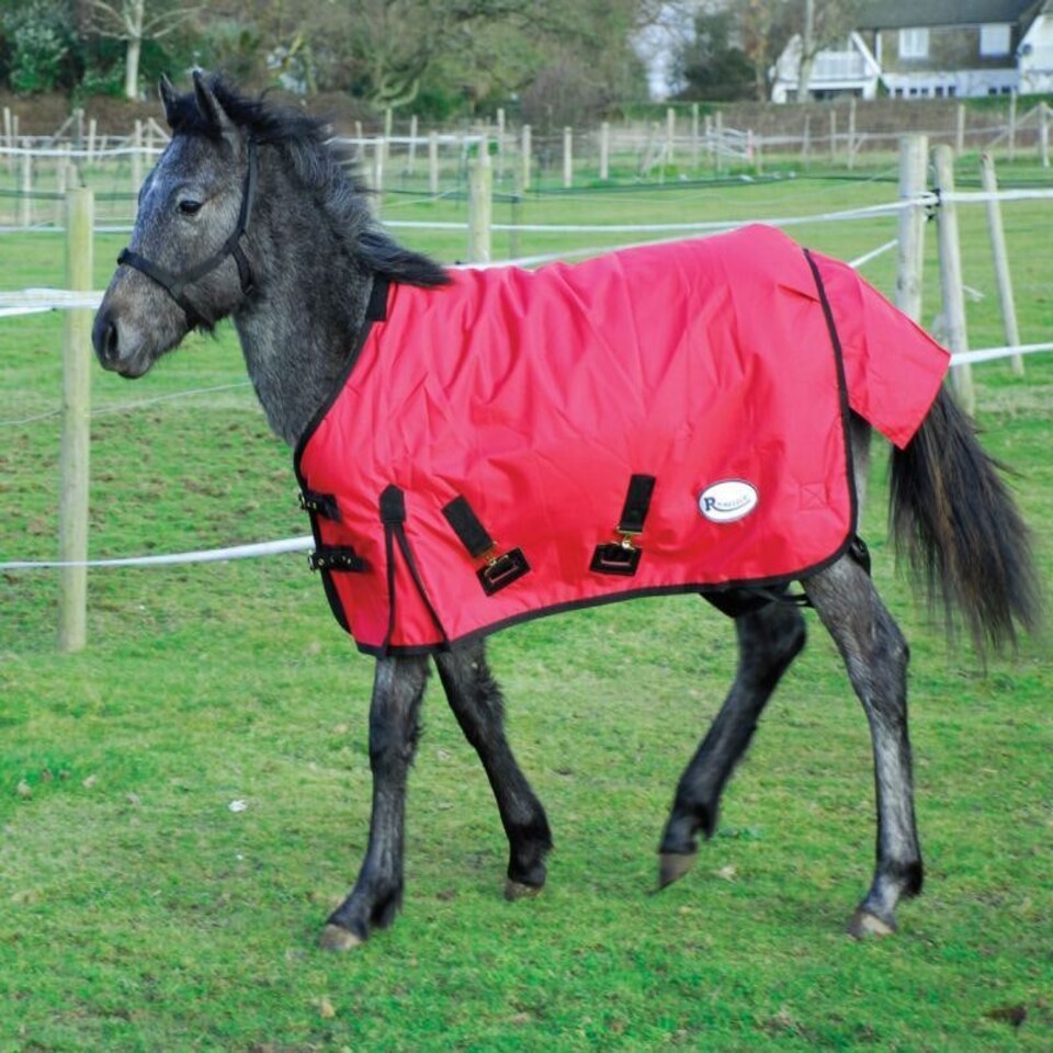 image 1 of Rhinegold Foal Konig Outdoor Rug Black | Size: 4ft 3
Colour: Black