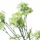 image 2 of Hill Interiors Plumb Blossom Spray Artificial Flower - Green - One Size