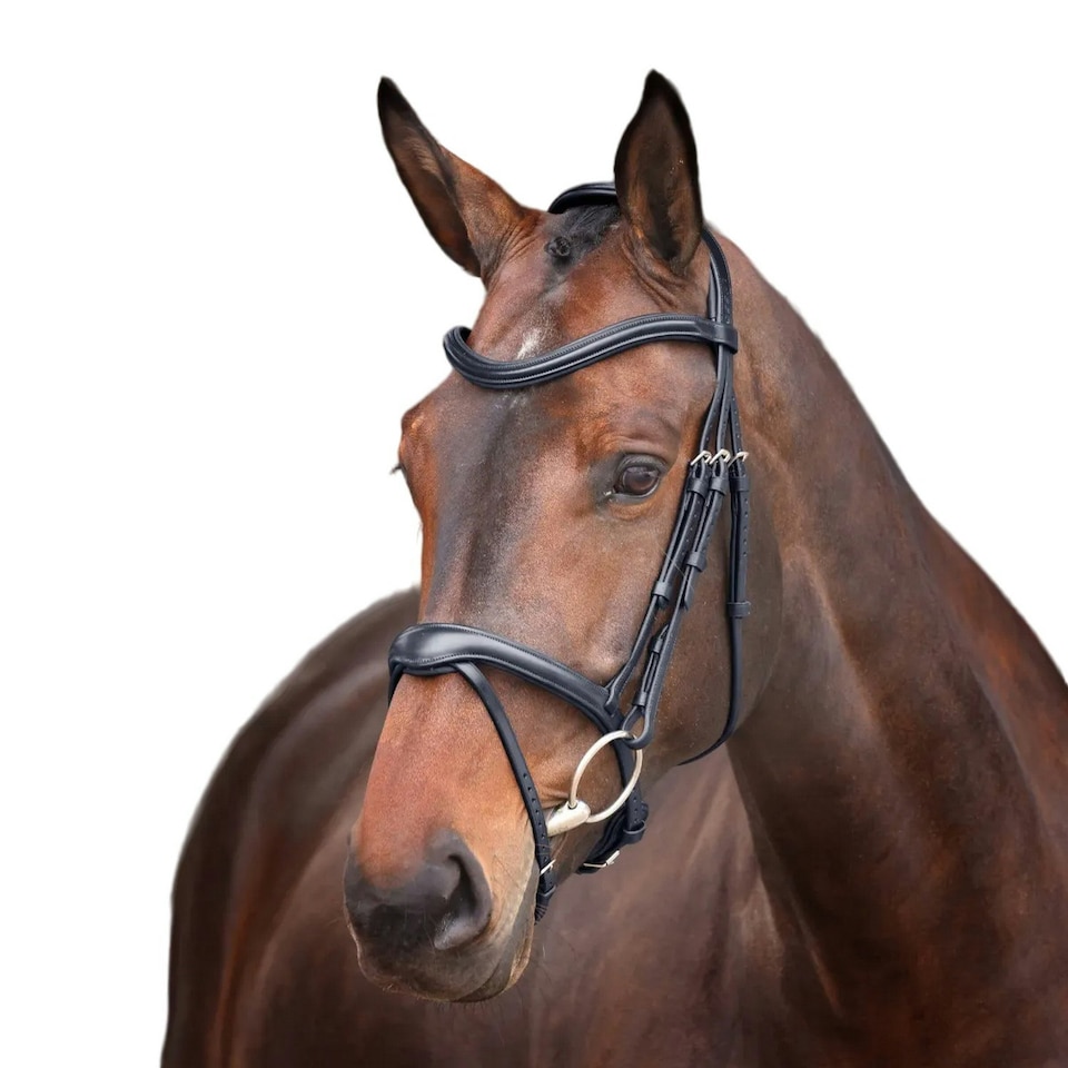 Velociti Lusso Elite Leather Horse Flash Bridle - Black - Full