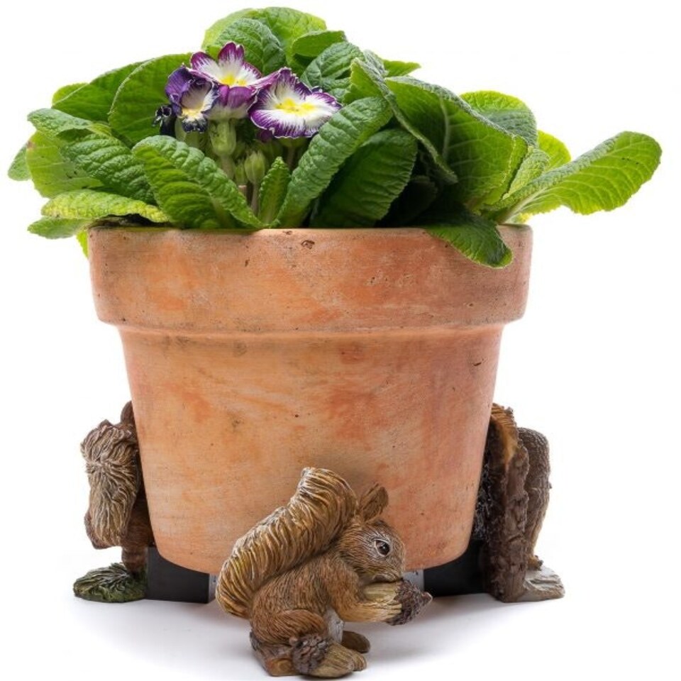 image 1 of Beatrix Potter Squirrel Nutkin and Old Brown Plant Pot Feet - Set of 3 Brown