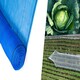 image 3 of Pegdev Blue Heavy Duty Plants & Crops Netting 2m x 27m UV Stabilised Mesh