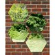 image 3 of Primrose Set of 7 Small Outdoor Hexagonal Silver Mirrors 11in