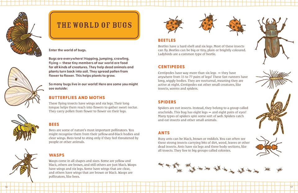 image 1 of Explorer's Nature Journal Book