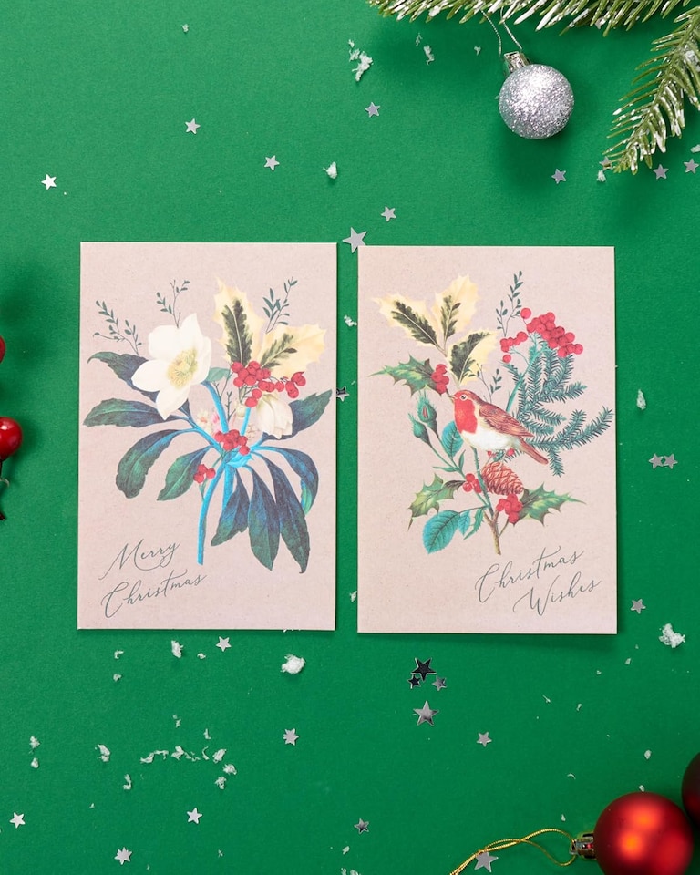 image 1 of Multipack of 8 RHS Rose & Robin Design Christmas Cards