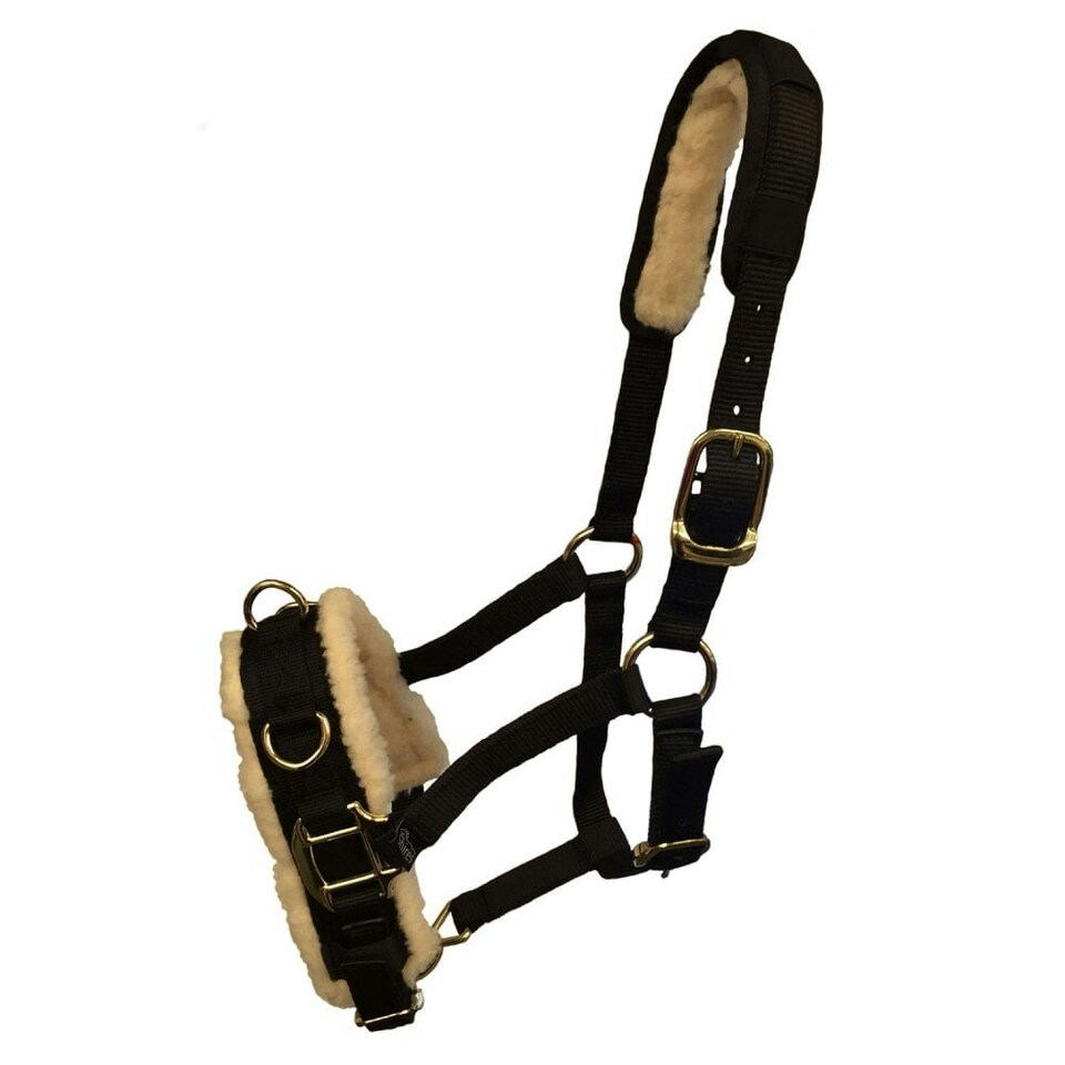 image 1 of Shires Fleece Lined Horse Lunge Cavesson - Black - X Full