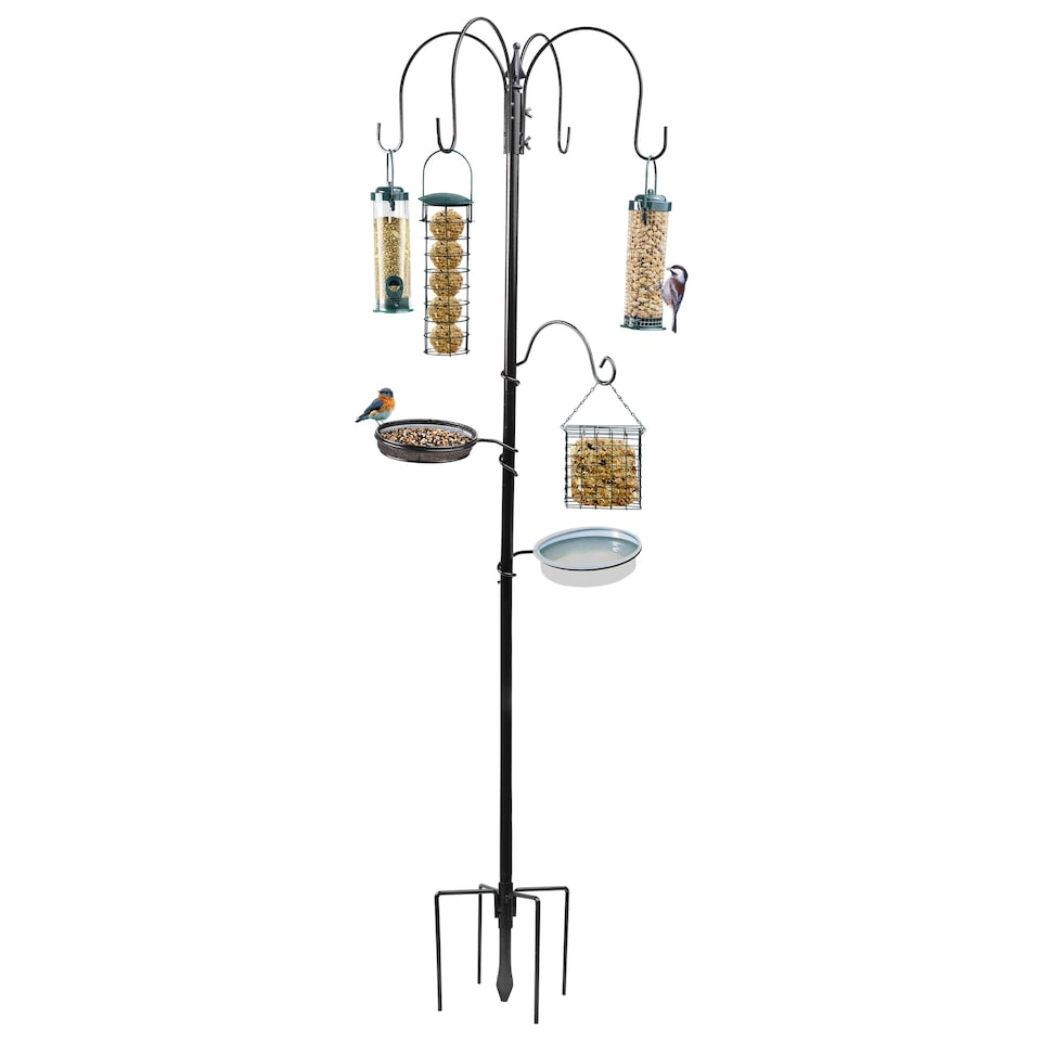 image 1 of Wild Bird Feeding Station Garden Water Bath, Table, Hanging Feeder & Stabilizer