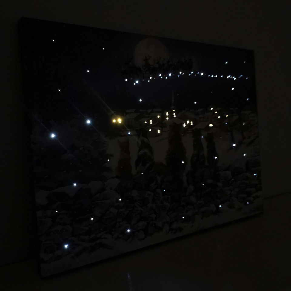 image 1 of 40 x 30cm Snowtime Touch Operated Cats Christmas Fibre Optic Wall Canvas