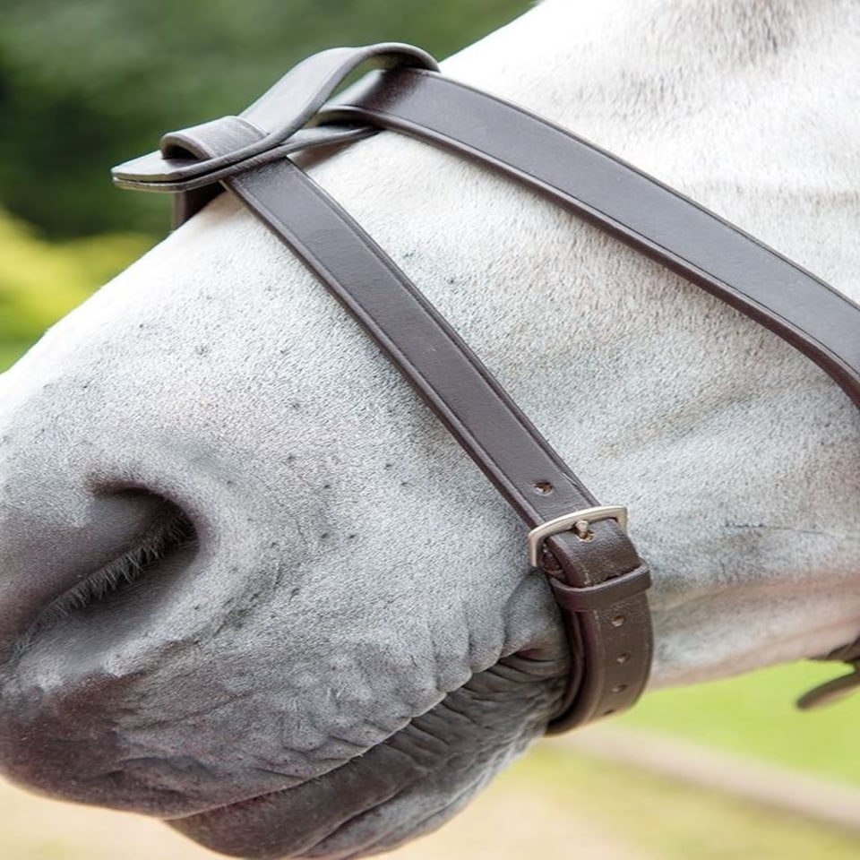 image 1 of Shires Blenheim Flash Strap Black | Size: X-Full
Colour: Black