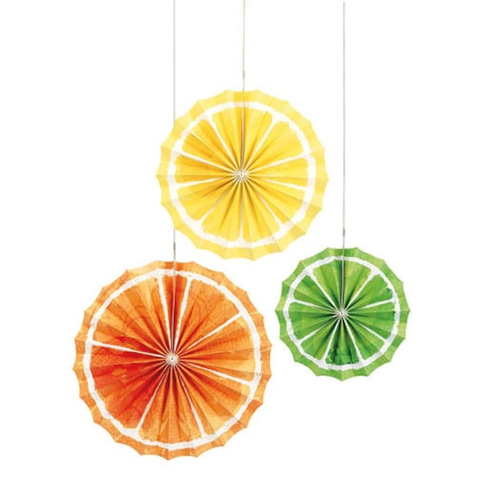 Citrus Fruit Assorted Tissue Paper Fan Hanging Decorations - Pack of 3