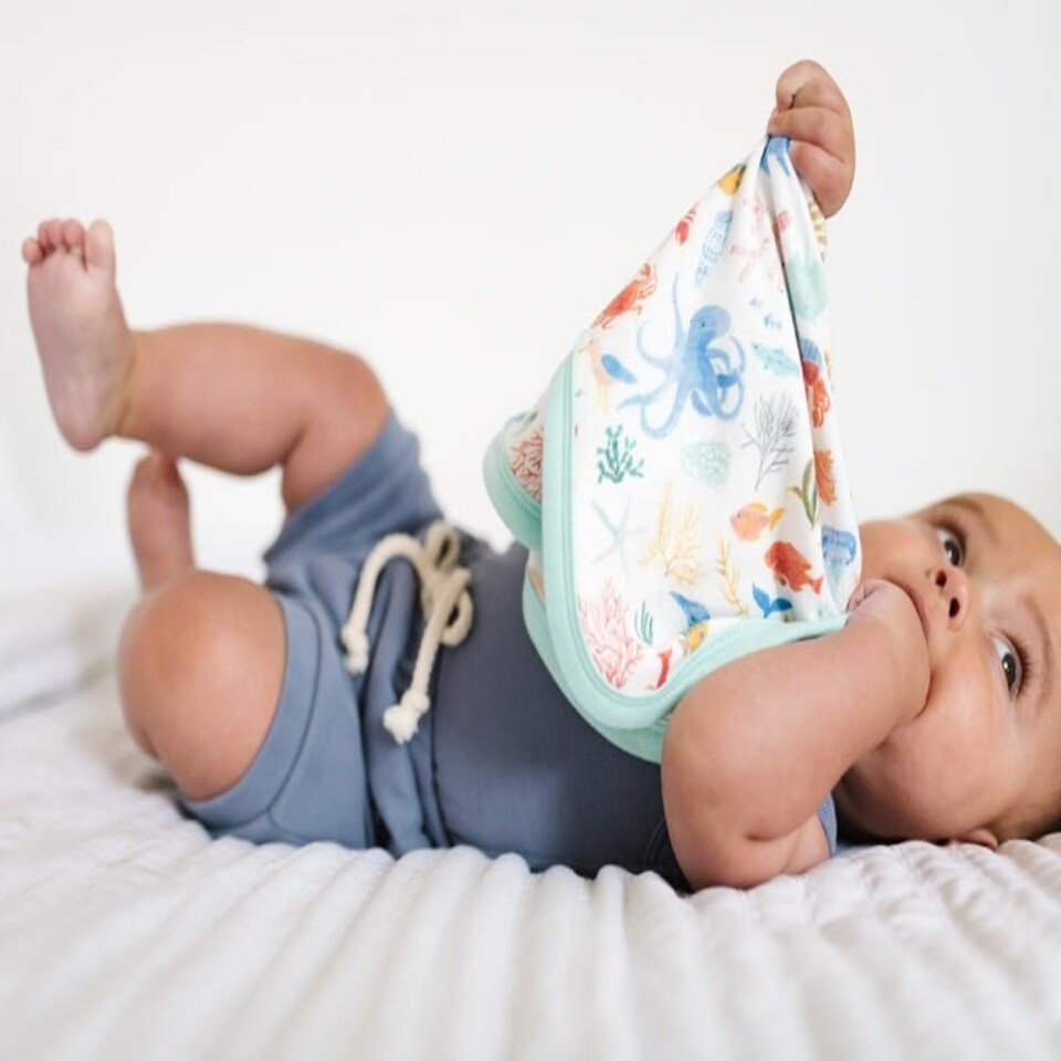 image 1 of Copper Pearl Lovey 3 Layer Comfort Blanket Nautical 2Pk